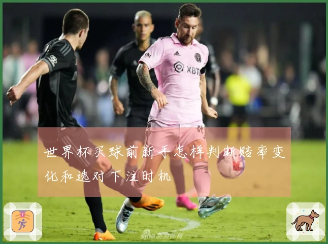 世界杯买球前新手怎样判断赔率变化和选对下注时机