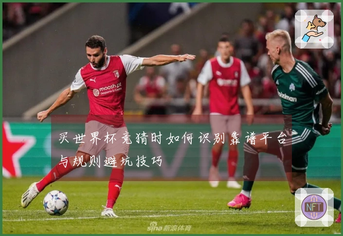 买世界杯竞猜时如何识别靠谱平台与规则避坑技巧
