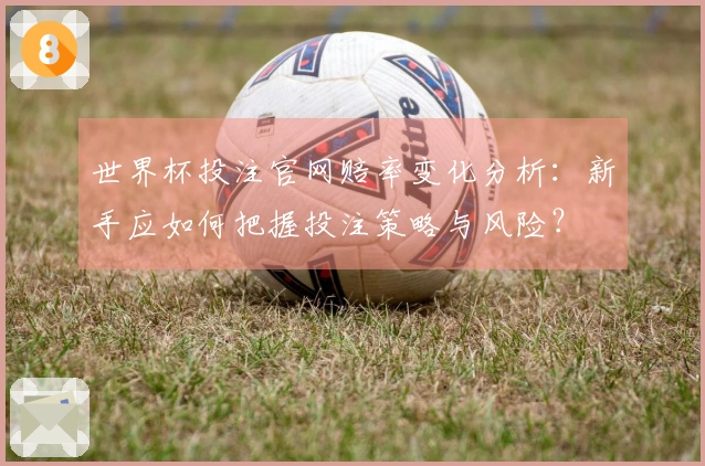 世界杯投注官网赔率变化分析：新手应如何把握投注策略与风险？