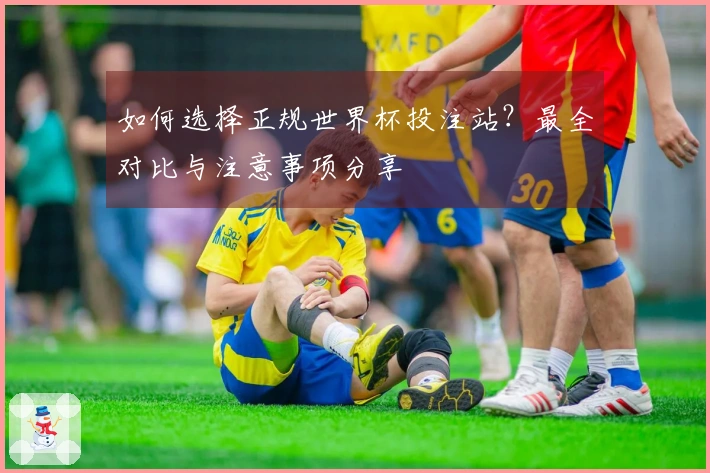 如何选择正规世界杯投注站？最全对比与注意事项分享