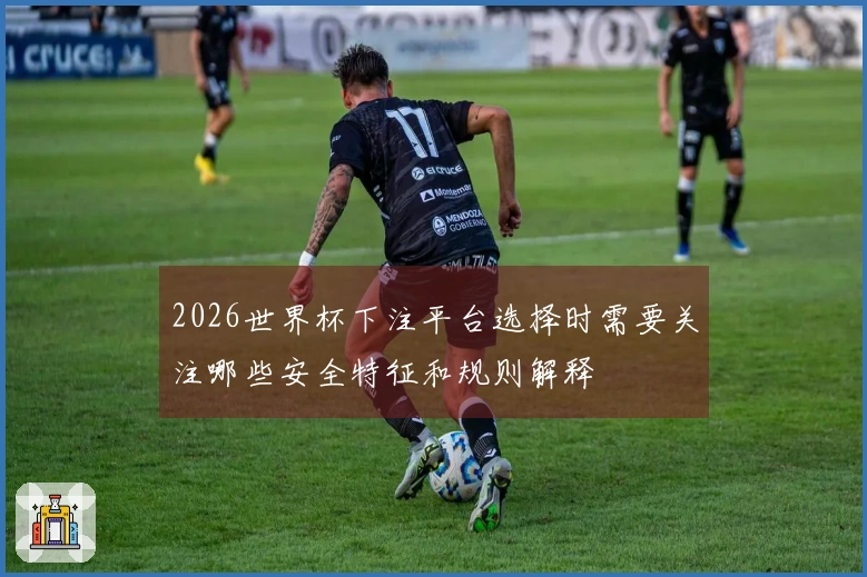 2026世界杯下注平台选择时需要关注哪些安全特征和规则解释