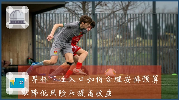 世界杯下注入口如何合理安排预算以降低风险和提高收益