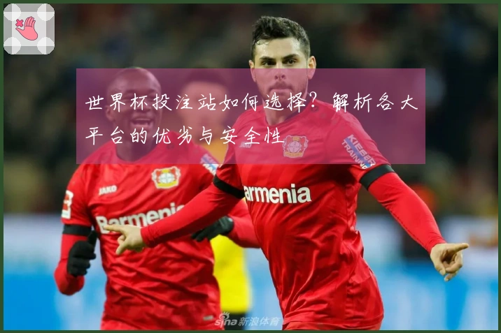 世界杯投注站如何选择？解析各大平台的优劣与安全性