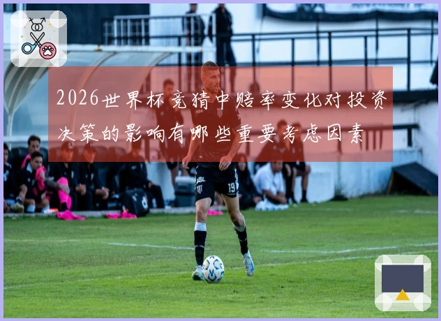 2026世界杯竞猜中赔率变化对投资决策的影响有哪些重要考虑因素