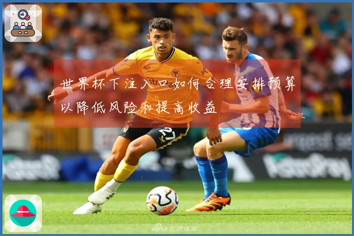 世界杯下注入口如何合理安排预算以降低风险和提高收益