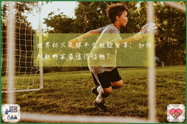 世界杯买足球平台经验分享：如何判断哪家最值得信赖？