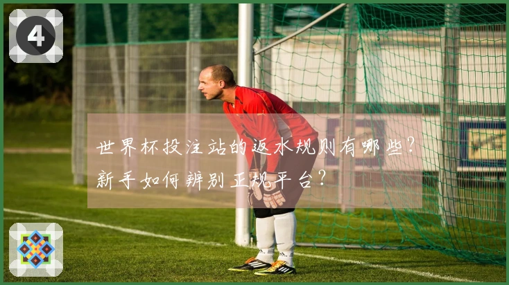 世界杯投注站的返水规则有哪些？新手如何辨别正规平台？
