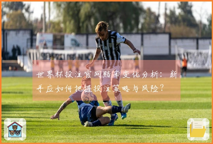 世界杯投注官网赔率变化分析：新手应如何把握投注策略与风险？