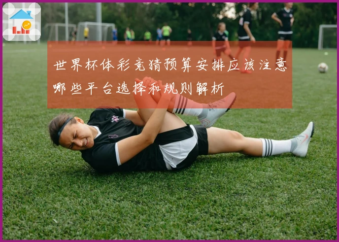 世界杯体彩竞猜预算安排应该注意哪些平台选择和规则解析