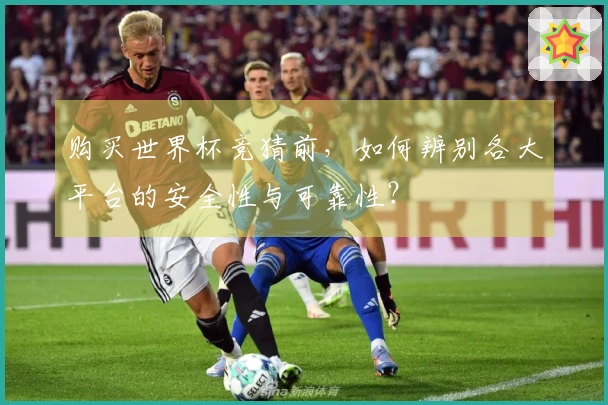 购买世界杯竞猜前，如何辨别各大平台的安全性与可靠性？