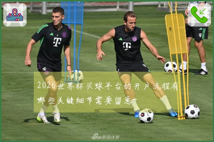 2026世界杯买球平台的开户流程有哪些关键细节需要留意-