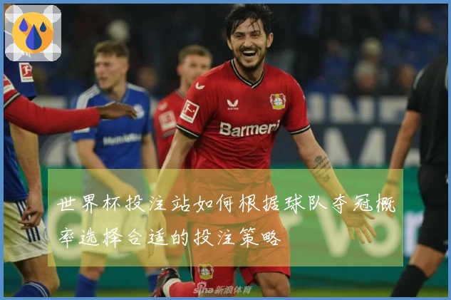 世界杯投注站如何根据球队夺冠概率选择合适的投注策略