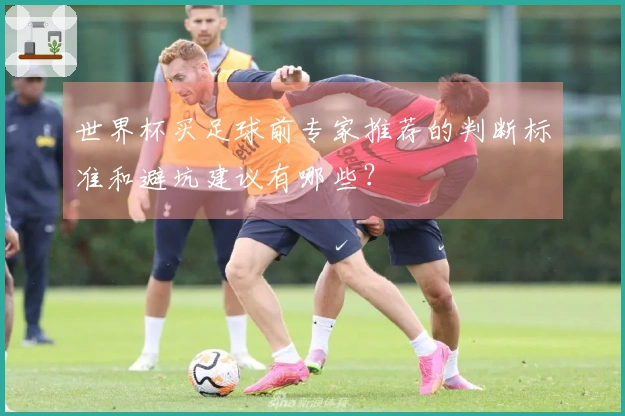 世界杯买足球前专家推荐的判断标准和避坑建议有哪些？