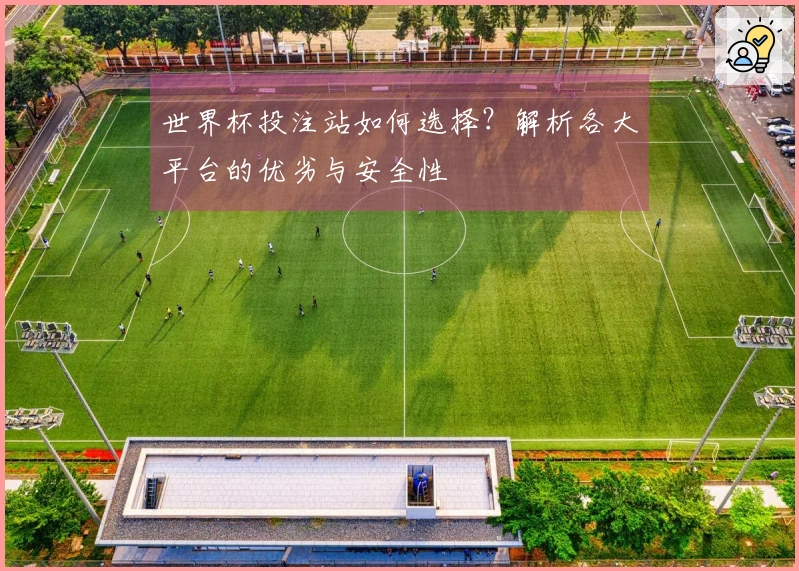 世界杯投注站如何选择？解析各大平台的优劣与安全性