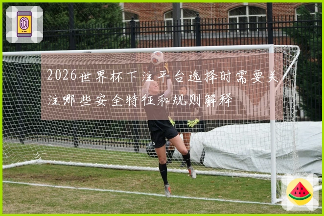 2026世界杯下注平台选择时需要关注哪些安全特征和规则解释
