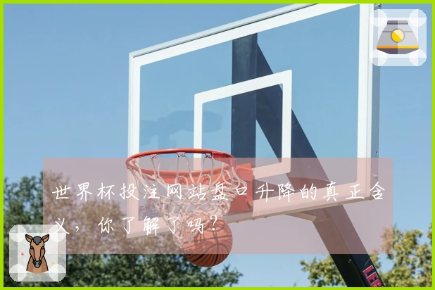 世界杯投注网站盘口升降的真正含义，你了解了吗？