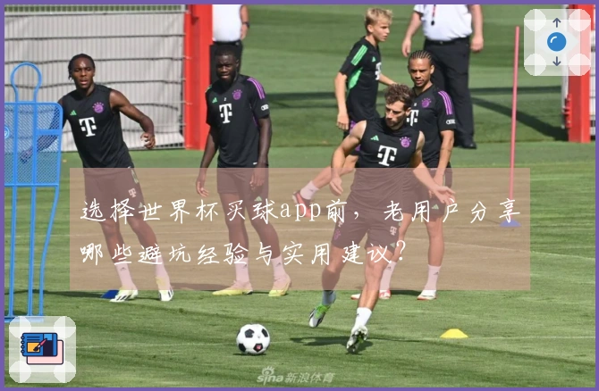 选择世界杯买球app前，老用户分享哪些避坑经验与实用建议？