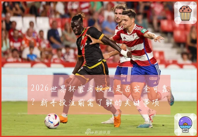 2026世界杯官方投注是否安全可靠？新手投注前需了解的关键事项