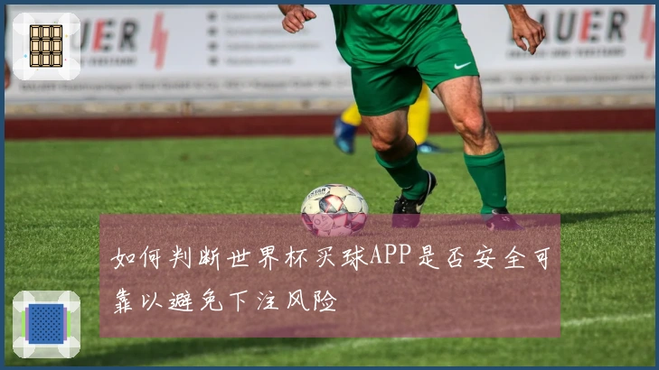 如何判断世界杯买球APP是否安全可靠以避免下注风险