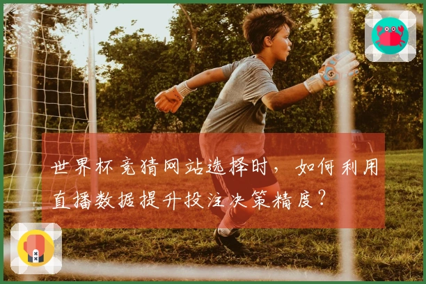 世界杯竞猜网站选择时，如何利用直播数据提升投注决策精度？